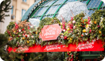 Чайные дегустации для компаний и мероприятий
